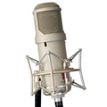 Lauten Audio Atlantis FC-387 Large-Diaphragm FET Condenser Microphone angled front view mounted in its shockmount on a microphone stand, showing the gain control switch.