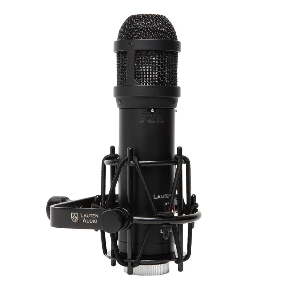 Lauten Audio LS-208 Front-Address Large-Diaphragm Condenser Microphone in its custom shockmount.