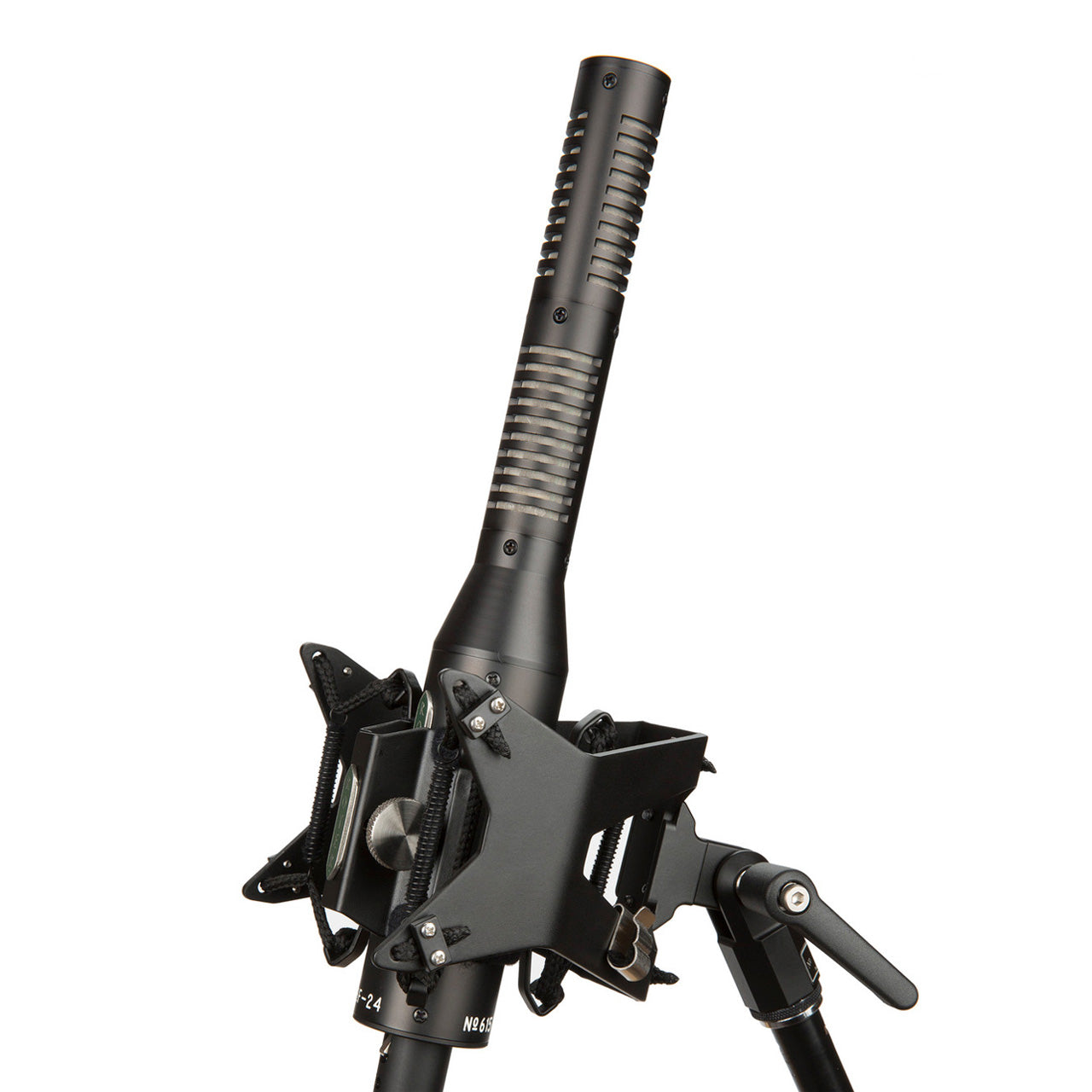 Royer SF-24 Stereo Ribbon Microphone mounted on an RSM-SS24 Shockmount and stand.