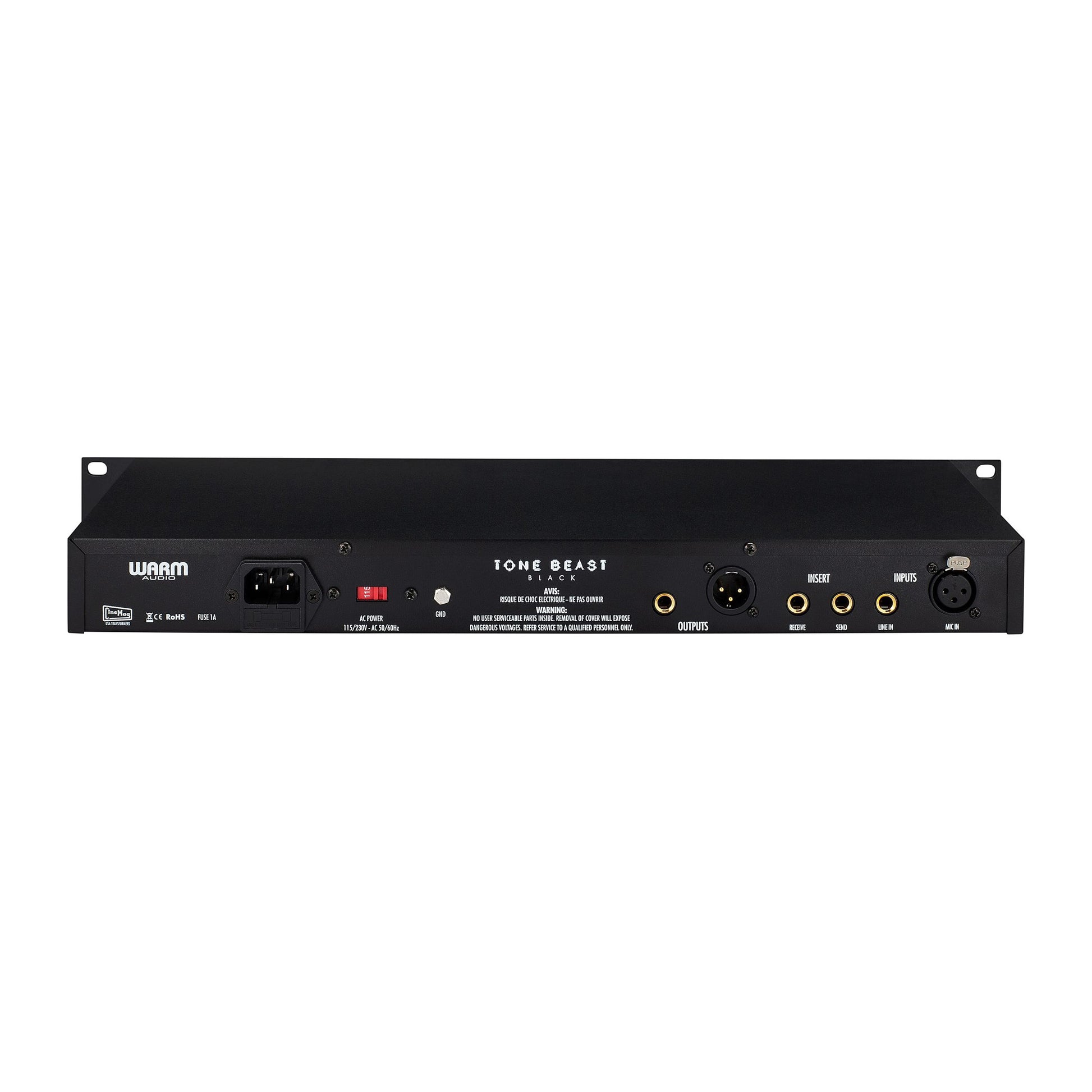 Warm Audio TB12 Tone Beast Microphone Preamp, back view showing inputs and outputs, send and receive loop for patchbays, power input and fuse.