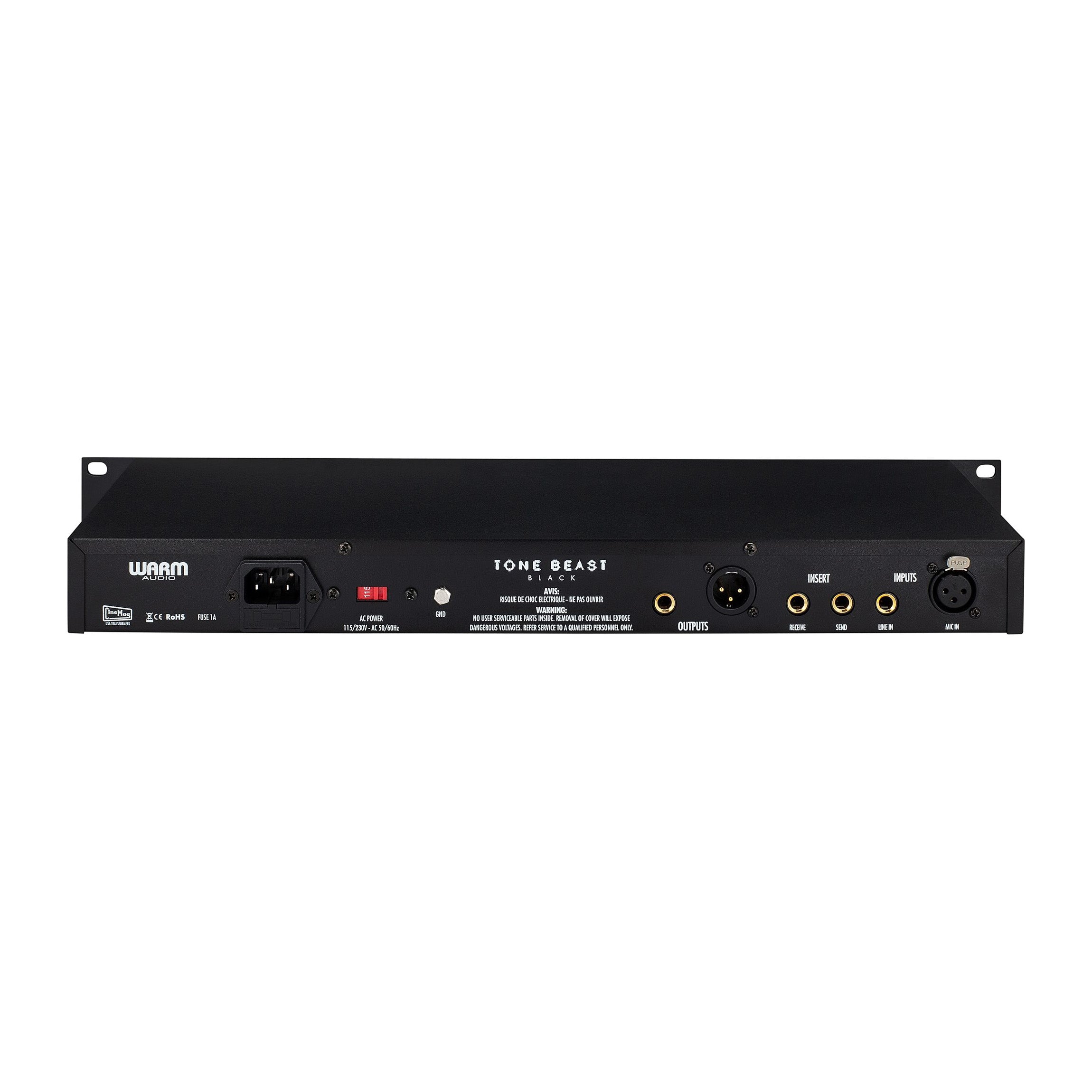 Warm Audio TB12 Tone Beast Microphone Preamp, back view showing inputs and outputs, send and receive loop for patchbays, power input and fuse.